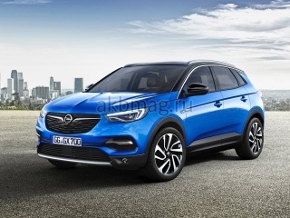 Opel Grandland X I 2017, 2018, 2019, 2020, 2021, 2022, 2023, 2024 годов выпуска